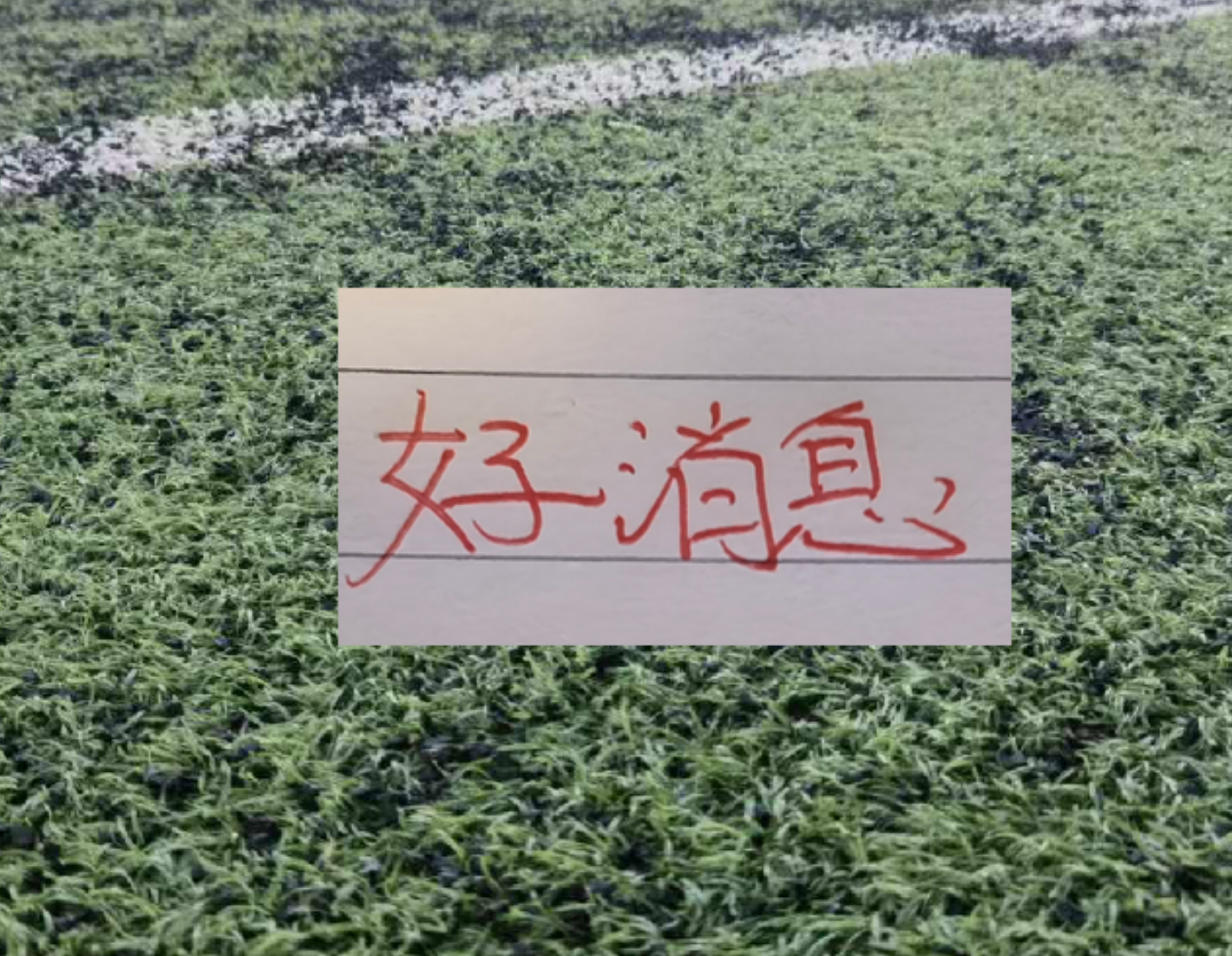 阿根廷VS阿尔及利亚前瞻:世界第1盼为南美挽尊!38岁梅西冲3神迹